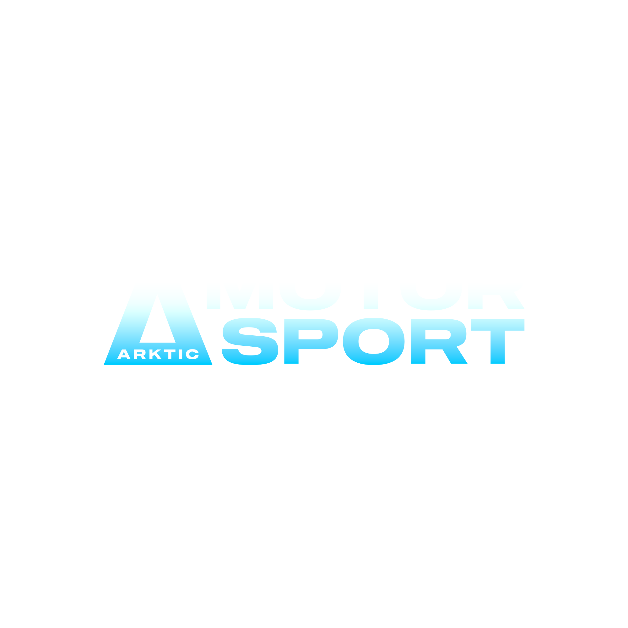 Arktic Motorsport Logo (Colour) v2