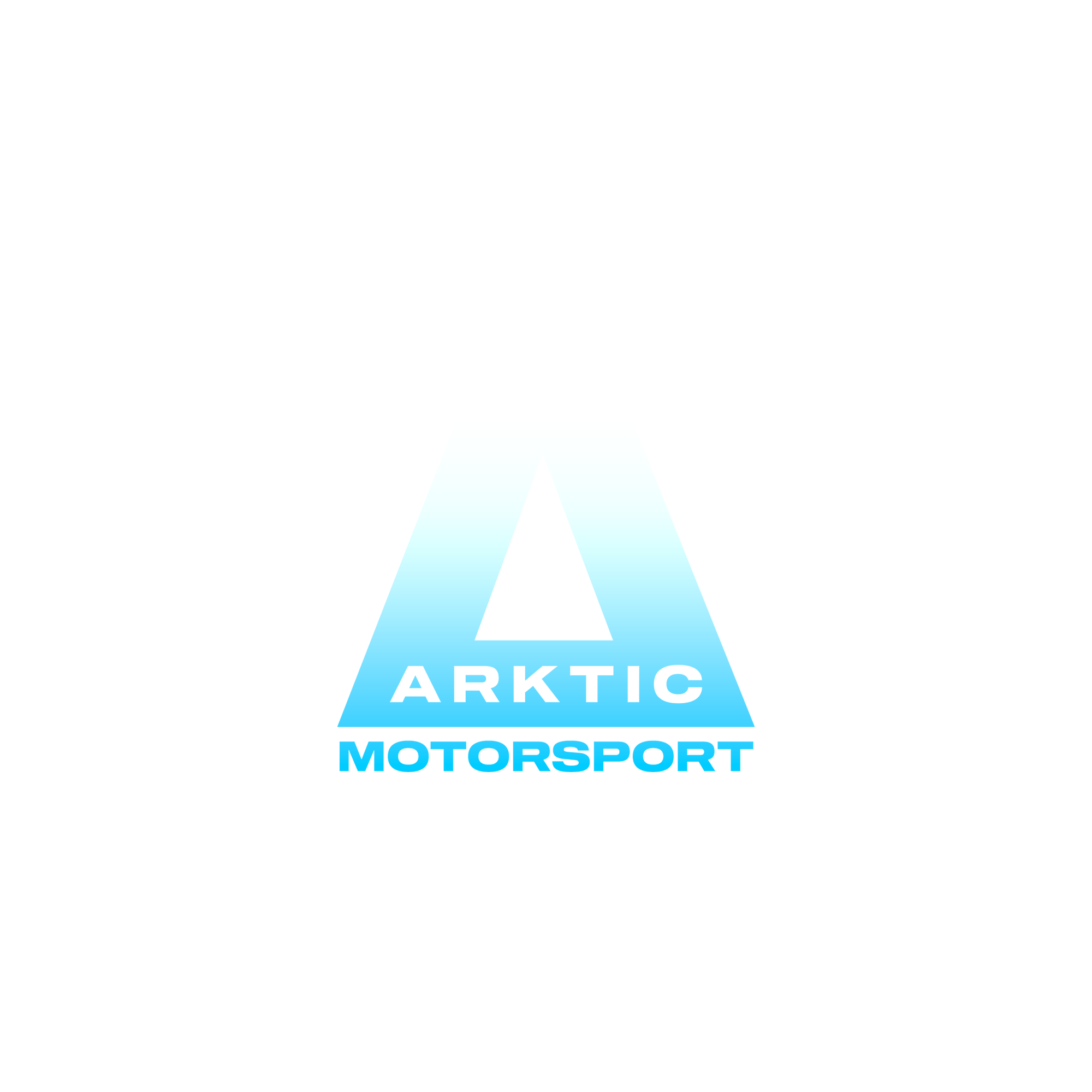 Arktic Motorsport Logo (Colour)